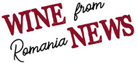 Admin - Logo