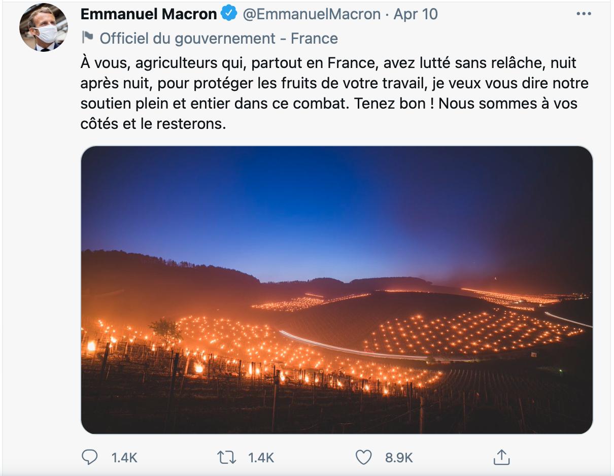 Înghețul a afectat 80% din principalele podgorii din Franța.