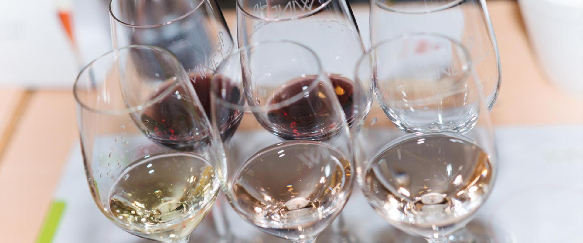 A 7 a ediție WineUp Fair în Transilvania, marchează “Anul Schimbării”