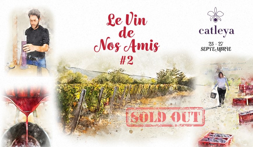 Le Vin de Nos Amis #2
