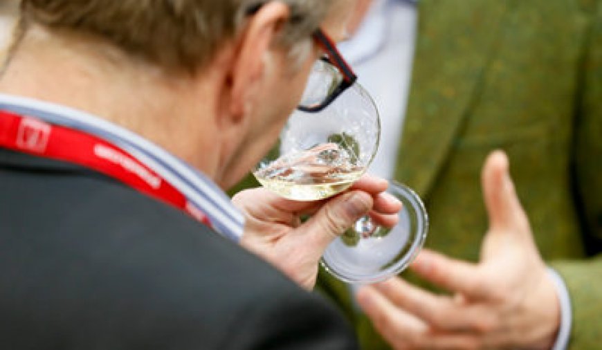 Prowein, primul târg cu o sală dedicată vinurilor fără alcool
