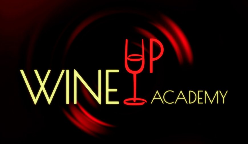 Am lansat WineUp Academy!